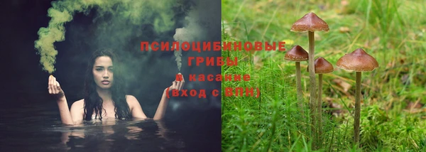 ПСИЛОЦИБИНОВЫЕ ГРИБЫ Волосово