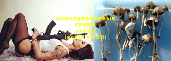 ПСИЛОЦИБИНОВЫЕ ГРИБЫ Волосово