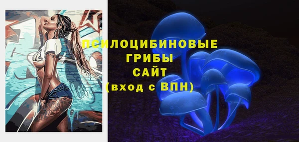 гашик Володарск