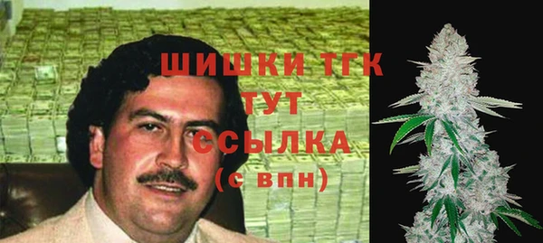 гашик Володарск
