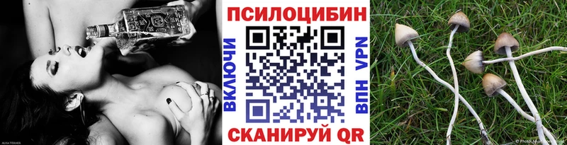 Псилоцибиновые грибы ЛСД  как найти закладки  Махачкала 